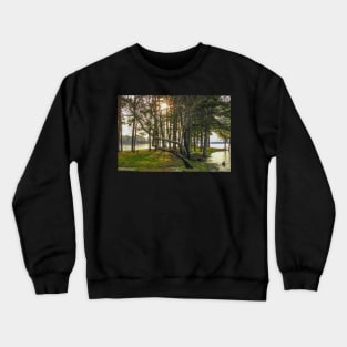 Leaning Tree Crewneck Sweatshirt